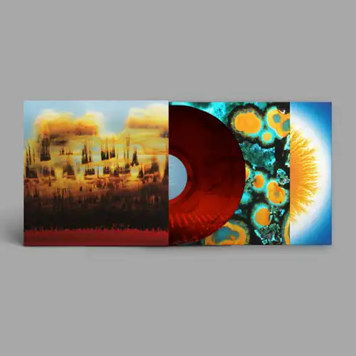 レコード Label:BEAT RECORDS / Ninja Tune Artist:Bonobo Title:Distance in Static (ボノボ/ディスタンス・イン・スタティック)