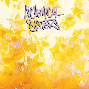 Octo OctaとEris DrewによるDJユニット ALCHEMICAL SISTERS がアルバム・リリース