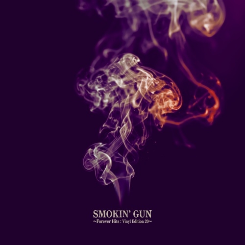 SMOKIN' GUN ～Forever Hits:Vinyl Edition 20～ / THE MODS / ザ