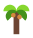 palmtree