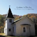 JAMES KING / ジェイムズ・キング / GARDENS IN THE SKY : THE BLUEGRASS GOSPEL
