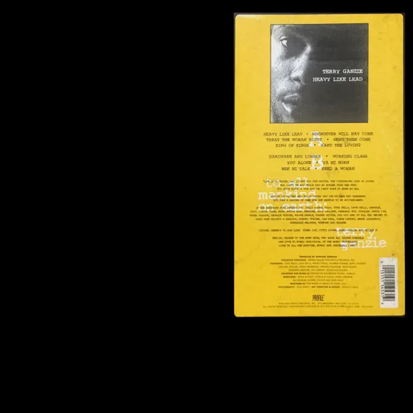 GANZIE TERRY / HEAVY LIKE LEAD