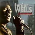 JUNIOR WELLS / ジュニア・ウェルズ / BEST OF THE VANGUARD YEARS