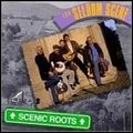 SELDOM SCENE / セルダム・シーン / SCENIC ROOTS