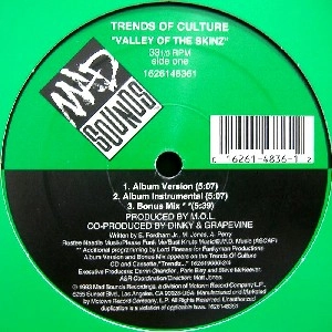 TRENDS OF CULTURE / VALLEY OF THE SKINZ