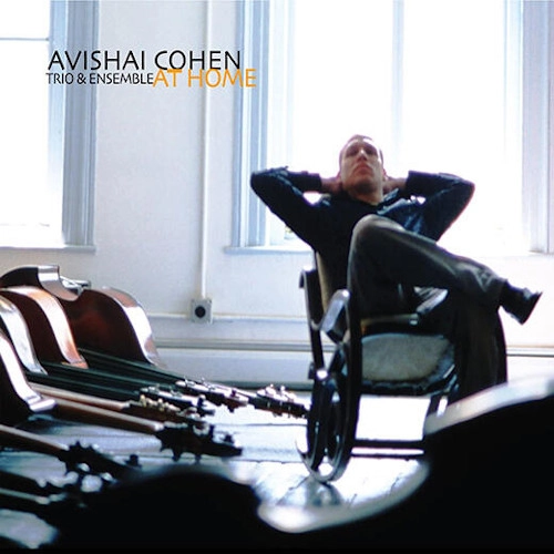 AVISHAI COHEN (BASS) / アヴィシャイ・コーエン / AT HOME