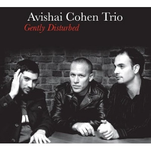 AVISHAI COHEN (BASS) / アヴィシャイ・コーエン / GENTLY DISTURBED
