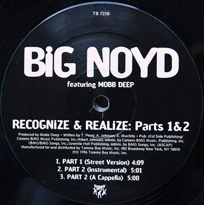 BIG NOYD / ビッグ・ノイド / RECOGHIZED & REALIZE PT.2