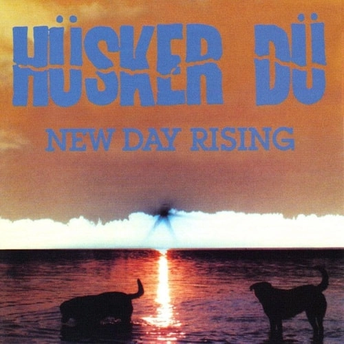 HUSKER DU / ハスカーデュー / NEW DAY RISING