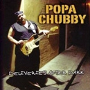 POPA CHUBBY / パパ・チャビー / DELIVERIES AFTER DARK