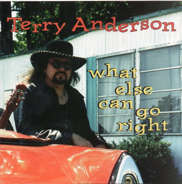 TERRY ANDERSON / WHAT ELSE CAN GO RIGHT
