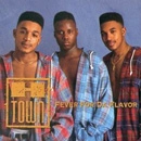 H-TOWN / FEVER FOR DA FLAVOR