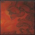 HOUSE OF FIRE / ハウス・オブ・ファイア / HOUSE OF FIRE