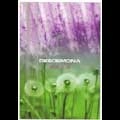 DESDEMONA / LIVE 3.0<NTSC/REGION 0>