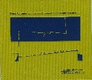 ERNST REIJSEGER / エルンスト・レイスグル / DO YOU STILL