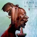 JAMES MURPHY / ジェイムス・マーフィー / FEEDING THE MACHINE