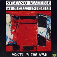 STEFANO MALTESE / ステファノ・マルテーゼ / VOICES IN THE WIND