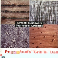 GUIDO PREMUDA/GILBERTO GRILLINI/ALESSANDRO DALLA / GIRASOLI SUNFLOWERS TOURNESOLS GIRASOLES