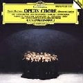 GIUSEPPE SINOPOLI / ジュゼッペ・シノーポリ / OPERA CHORUSES
