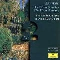 PINCHAS ZUKERMAN / ピンカス・ズーカーマン / BRAHMS: VIOLIN SONATAS