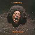 FUNKADELIC / ファンカデリック / MAGGOT BRAIN