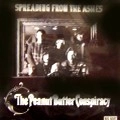 PEANUT BUTTER CONSPIRACY / ピーナッツ・バター・コンスピラシー / SPREADING FROM THE ASHES