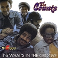 COUNTS / カウンツ / IT'S WHAT'S IN THE GROOVE