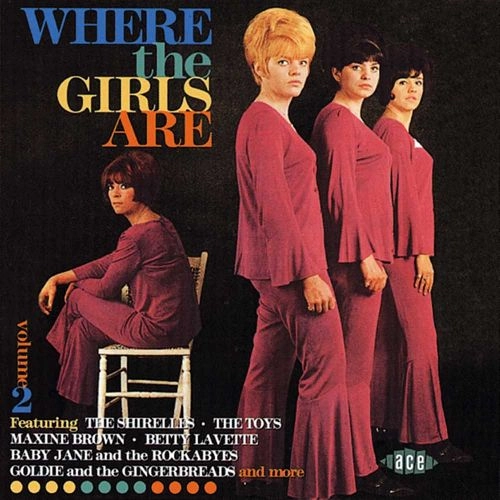 V.A. (WHERE THE GIRLS ARE) / WHERE THE GIRLS ARE VOL.2