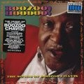 BOOZOO CHAVIS / BOOZOO,THAT'S WHO!THE SONGS OF BOOZOO CHAV