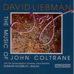 DAVID LIEBMAN / デイヴ・リーブマン / Joy