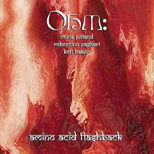 OHM / オーム / AMINO ACID FLASHBACK