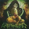 SALT THE WOUND / CARNAL REPERCUSSIONS