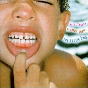 ARTO LINDSAY / アート・リンゼイ / SUBTLE BODY