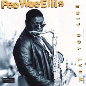 PEE WEE ELLIS / ピー・ウィー・エリス / WHAT YOU LIKE (デジパック仕様)