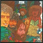 PFM / ピー・エフ・エム / PASSPARTU