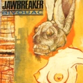 JAWBREAKER / ジョーブレイカー / BIVOUAC