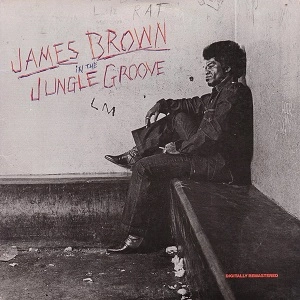 JAMES BROWN / ジェームス・ブラウン / IN THE JUNGLE GROOVE(180GRAM)