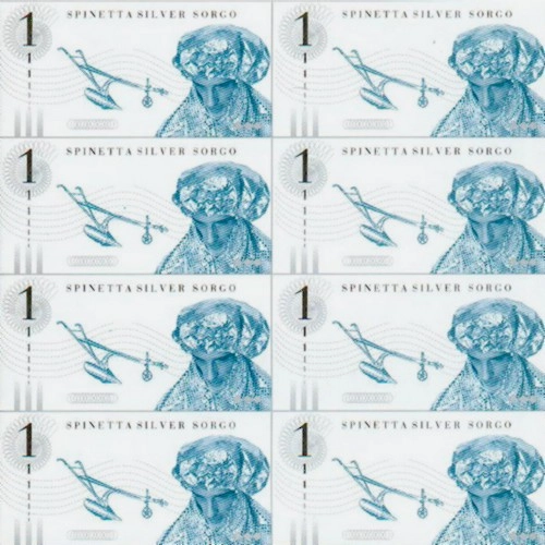 LUIS ALBERTO SPINETTA / ルイス・アルベルト・スピネッタ / SILVER SORGO