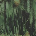 PROMISE RING / プロミス・リング / WOOD/WATER