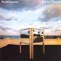 DAVID SANCIOUS / デイヴィッド・サンシャス / JUST AS I THOUGHT