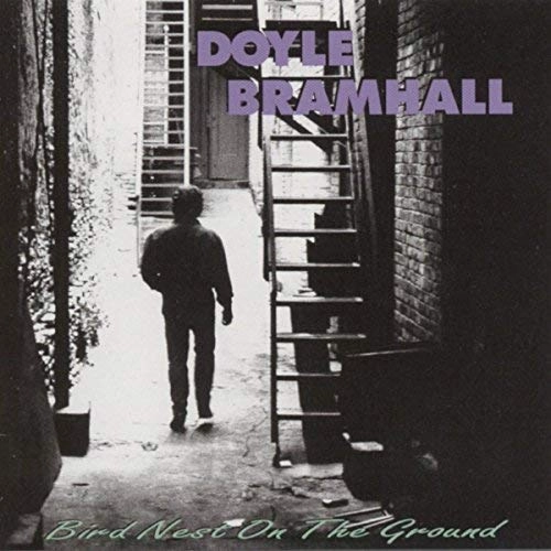 DOYLE BRAMHALL / ドイル・ブラムホール / BIRD NEST ON THE GROUND