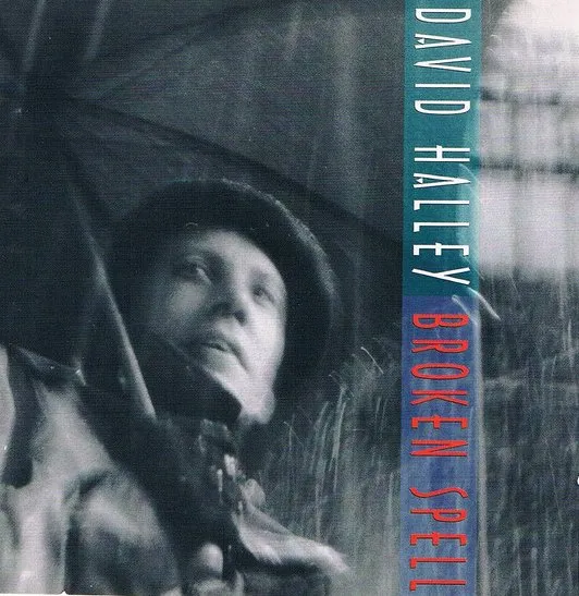 HALLEY DAVID / BROKEN SPELL