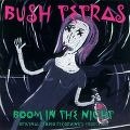 BUSH TETRAS / ブッシュ・テトラス / BOOM IN THE NIGHT