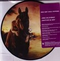 RED HOT CHILI PEPPERS / レッド・ホット・チリ・ペッパーズ / DANI CALIFORNIA (PICTURE)