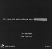 JOSHUA BREAKSTONE / ジョシュア・ブレイクストーン / NO ONE NEW