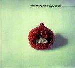 NILS WOGRAM / ニルス・ウォグラム / SPEED LIFE