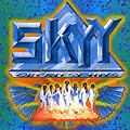 SKYY / スカイ / GREATEST HITS