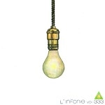 L'INFONIE / VOLUME 333