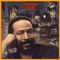 MARVIN GAYE / マーヴィン・ゲイ / MIDNIGHT LOVE