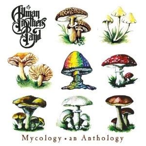 ALLMAN BROTHERS BAND / オールマン・ブラザーズ・バンド / MYCOLOGY